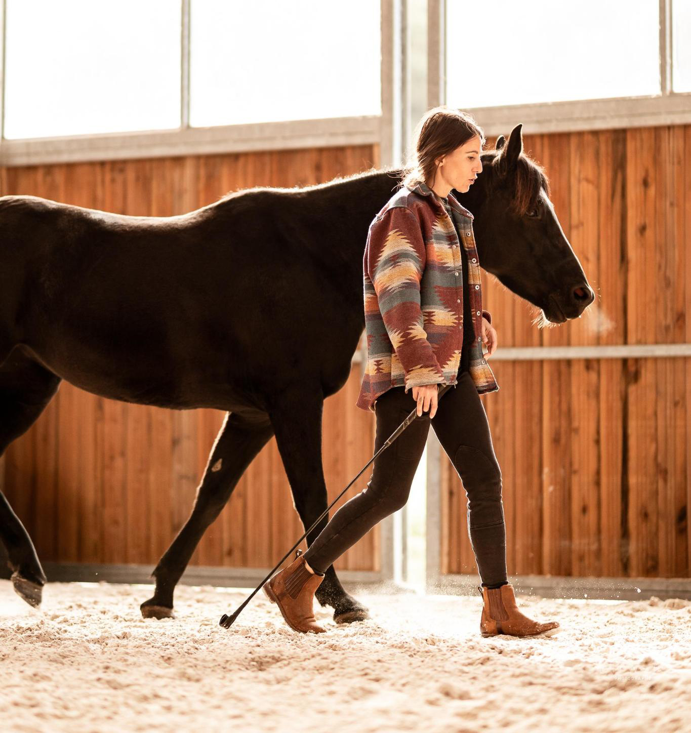 Fanie Genovese éthologie lecture comportementale cheval intervenante Equimova