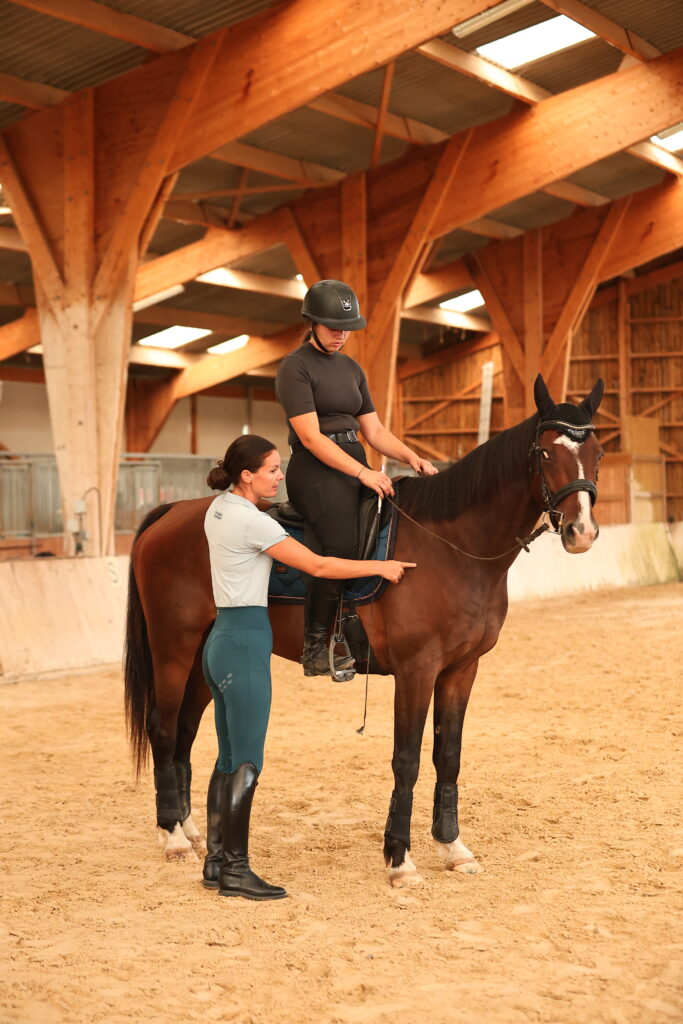 Programme formation professionnelle Equimova biomécanique équitation module 3 travail en selle travail à pied dissymétrie exercices dressage
