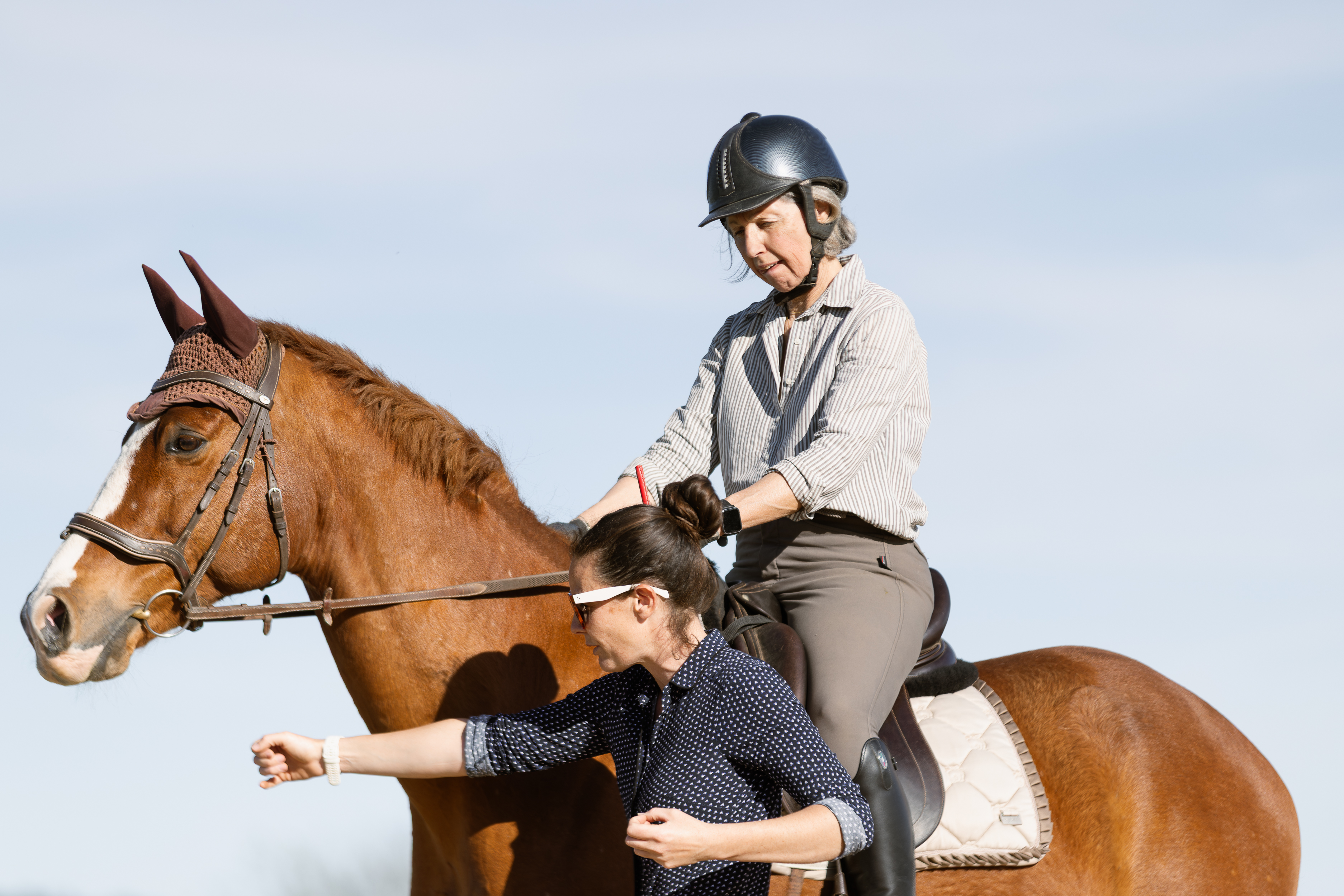 Se former à la biomécanique équestre pour se différencier avec Equimova