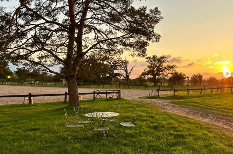 écurie La Bidauderie Vierzon formation professionnelle Equimova présentiel biomécanique et équitation