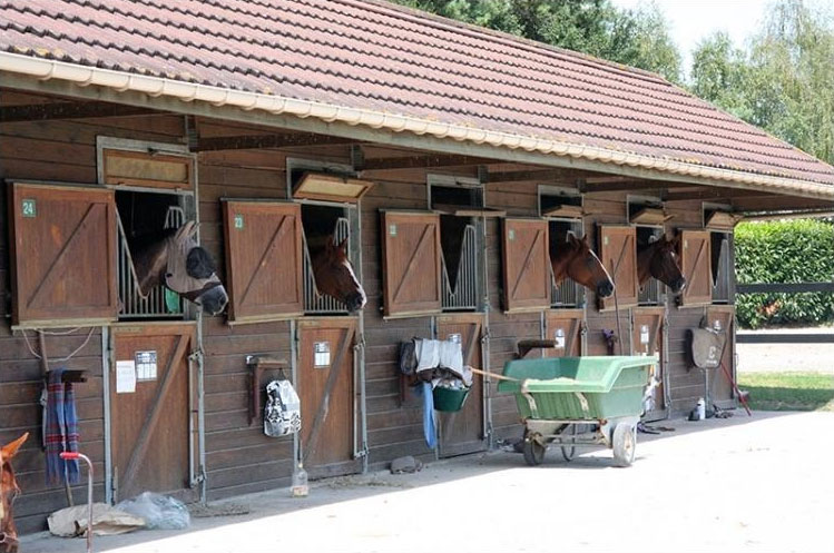 écurie La Bidauderie Vierzon formation professionnelle Equimova présentiel biomécanique et équitation
