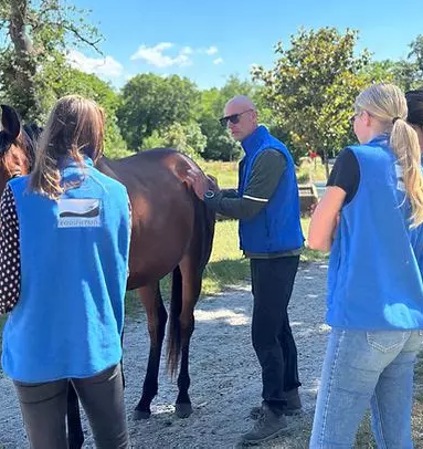 Olivier Magnier directeur Equiphysio formations Pro'animo ostéopathe équin